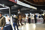 Feria de Minerales de Bolonia 2026