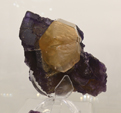 Feria de Minerales de Bolonia 2026