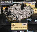 Feria de Minerales de Bolonia 2026