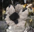 Feria de Minerales de Bolonia 2026