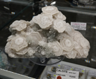 Feria de Minerales de Bolonia 2026
