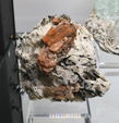 Feria de Minerales de Bolonia 2026