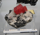 Feria de Minerales de Bolonia 2026