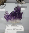Feria de Minerales de Bolonia 2026