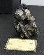 Feria de Minerales de Bolonia 2026
