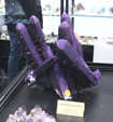 Feria de Minerales de Bolonia 2026