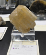 Feria de Minerales de Bolonia 2026