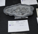 Feria de Minerales de Bolonia 2026