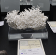 Feria de Minerales de Bolonia 2026