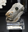 Feria de Minerales de Bolonia 2026