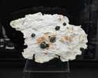 Feria de Minerales de Bolonia 2026