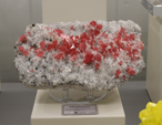 Feria de Minerales de Bolonia 2026