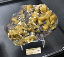 Feria de Minerales de Bolonia 2026