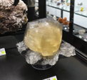 Feria de Minerales de Bolonia 2026