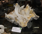 Feria de Minerales de Bolonia 2026