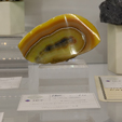 Feria de Minerales de Bolonia 2026