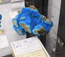 Feria de Minerales de Bolonia 2026