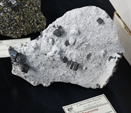 Feria de Minerales de Bolonia 2026