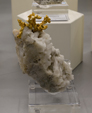 Feria de Minerales de Bolonia 2026