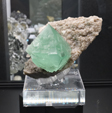 Feria de Minerales de Bolonia 2026