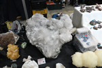 Feria de Minerales de Bolonia 2026