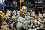 Feria de Minerales de Bolonia 2026