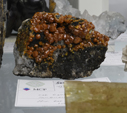 Feria de Minerales de Bolonia 2026