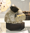 Feria de Minerales de Bolonia 2026