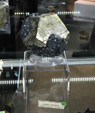 Feria de Minerales de Bolonia 2026