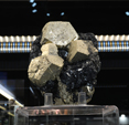 Feria de Minerales de Bolonia 2026