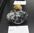 Feria de Minerales de Bolonia 2026
