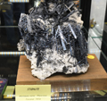 Feria de Minerales de Bolonia 2026
