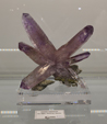 Feria de Minerales de Bolonia 2026