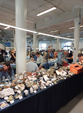  23º GENOVA MINERALSHOW. 