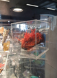  23º GENOVA MINERALSHOW. 