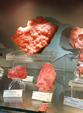  23º GENOVA MINERALSHOW. 