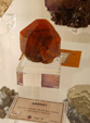  23º GENOVA MINERALSHOW. 