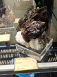  23º GENOVA MINERALSHOW. 