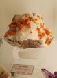  23º GENOVA MINERALSHOW. 