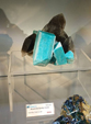  23º GENOVA MINERALSHOW. 