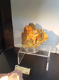  23º GENOVA MINERALSHOW. 