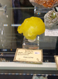  23º GENOVA MINERALSHOW. 