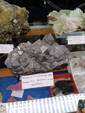  23º GENOVA MINERALSHOW. 