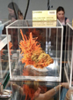  23º GENOVA MINERALSHOW. 