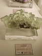  23º GENOVA MINERALSHOW. 