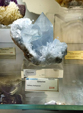  23º GENOVA MINERALSHOW. 