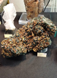  23º GENOVA MINERALSHOW. 
