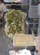  23º GENOVA MINERALSHOW. 