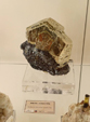  23º GENOVA MINERALSHOW. 