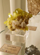  23º GENOVA MINERALSHOW. 